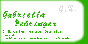 gabriella mehringer business card